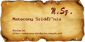 Matecsny Szidónia névjegykártya